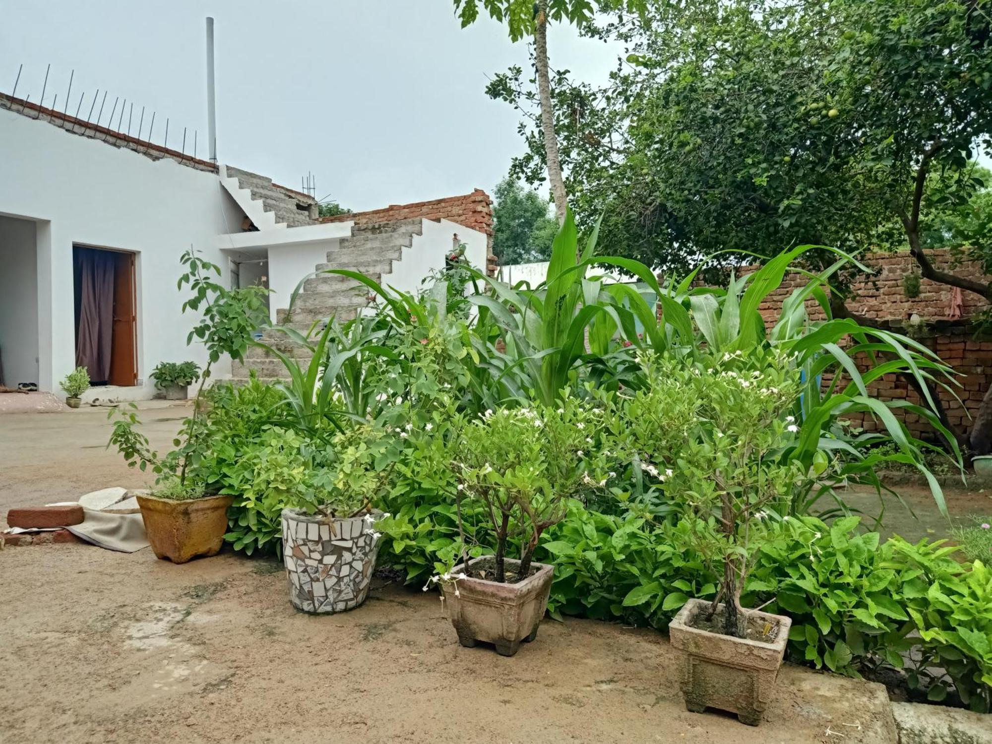 Appartement Khajuraho Rancho Extérieur photo