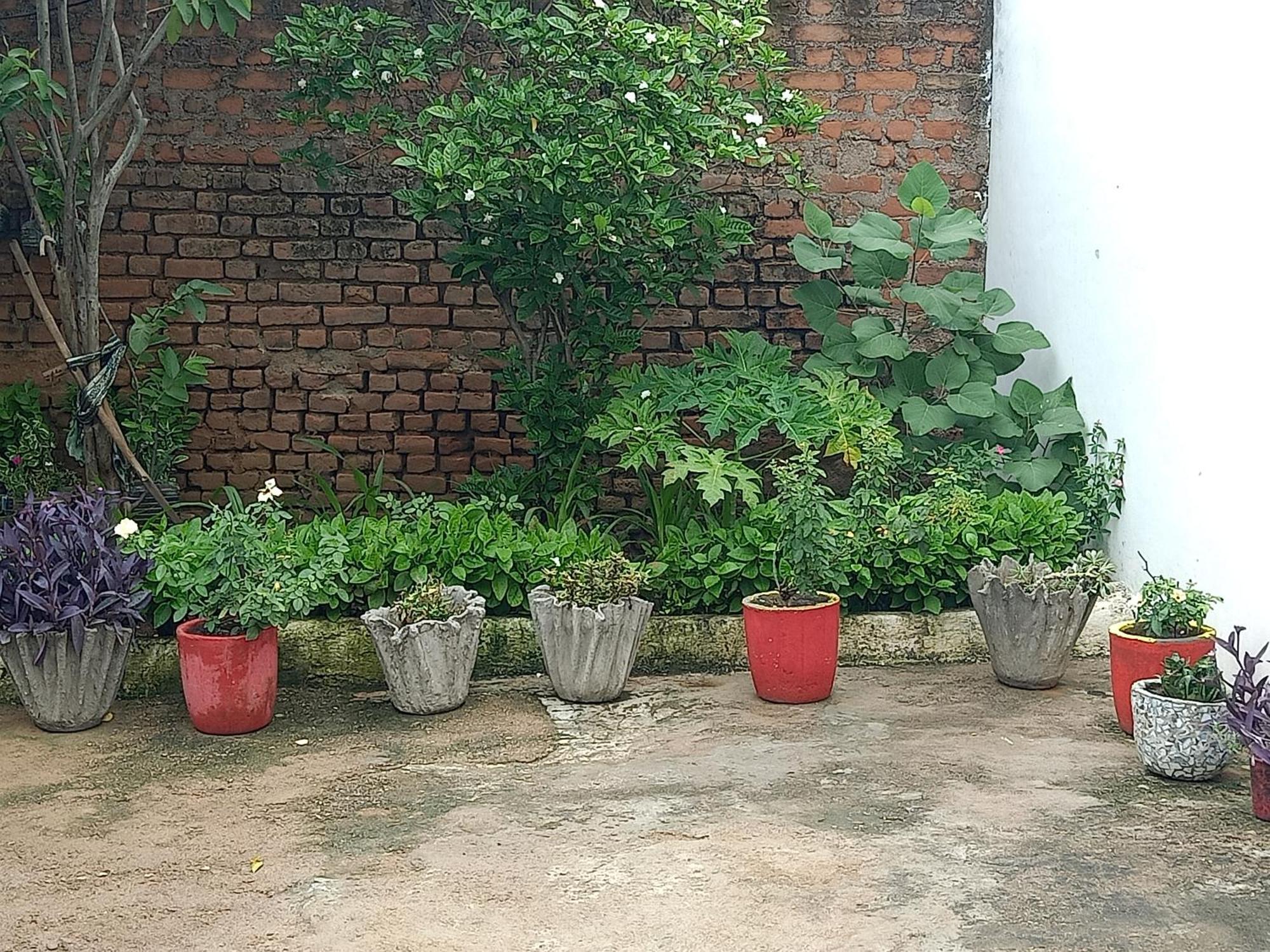 Appartement Khajuraho Rancho Extérieur photo