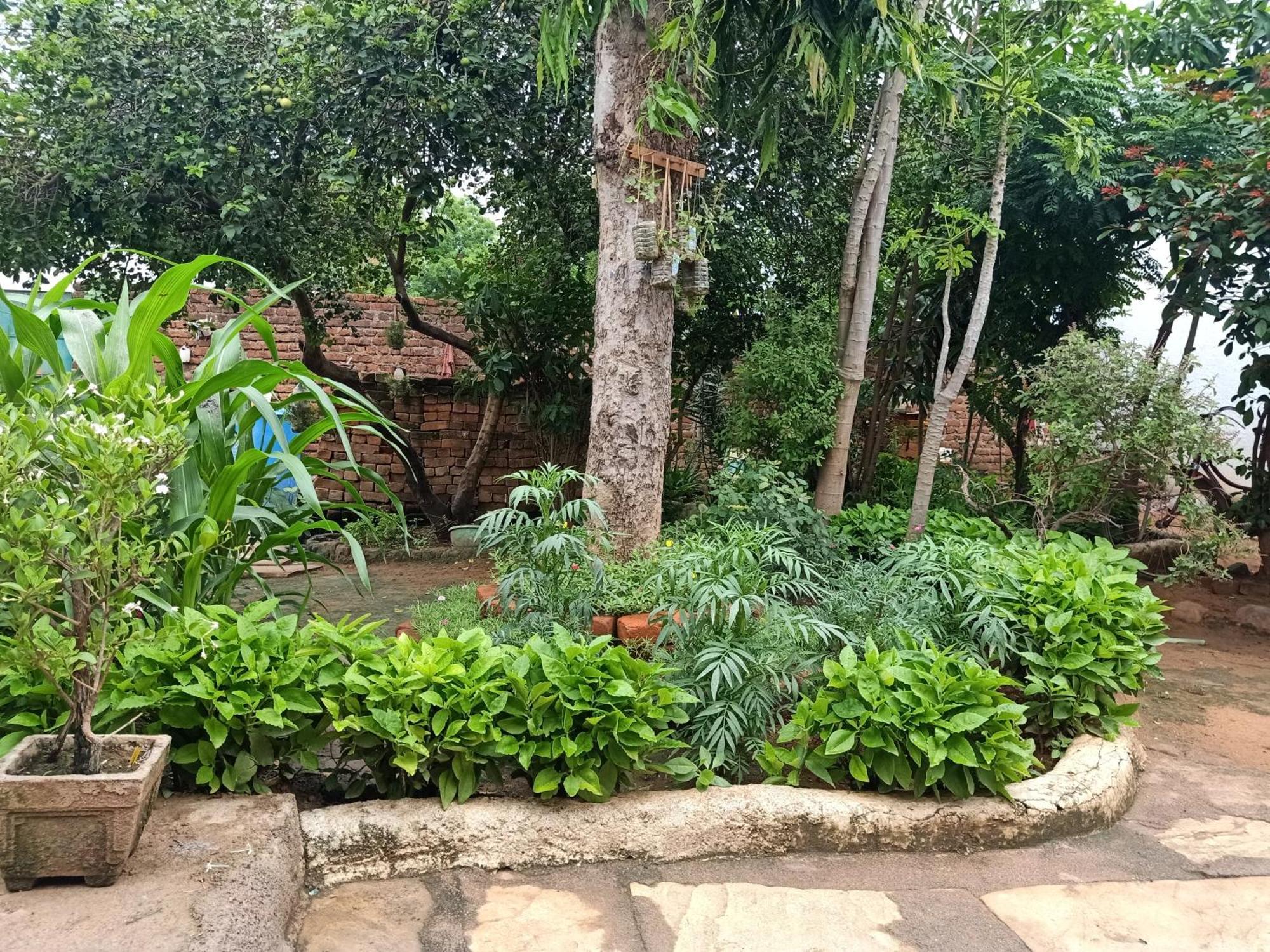 Appartement Khajuraho Rancho Extérieur photo