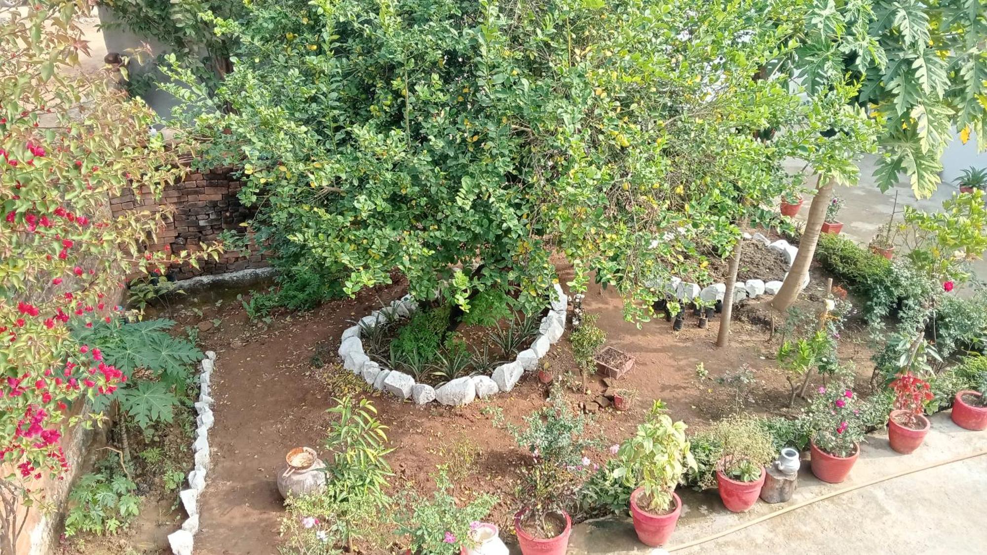 Appartement Khajuraho Rancho Extérieur photo